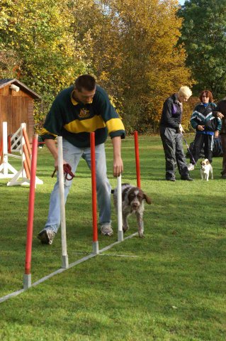 agility 2011-10-30